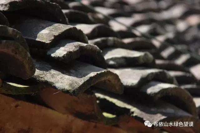 微信图片_20190317011517.jpg