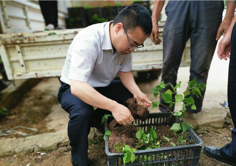 1556427902356056138.jpg 2.jpg