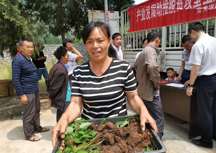 1556427911522090335.jpg 3.jpg