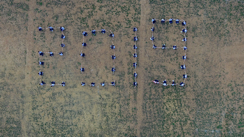 1560344371238055347.jpg DJI_0769.jpg