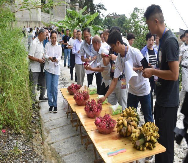 1562837234718081041.png 1562837234718081041.png