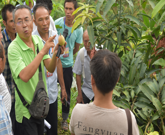 1562837261522009580.png 1562837261522009580.png