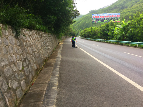 1563932577860047259.jpg 清路障 除隐患.jpg