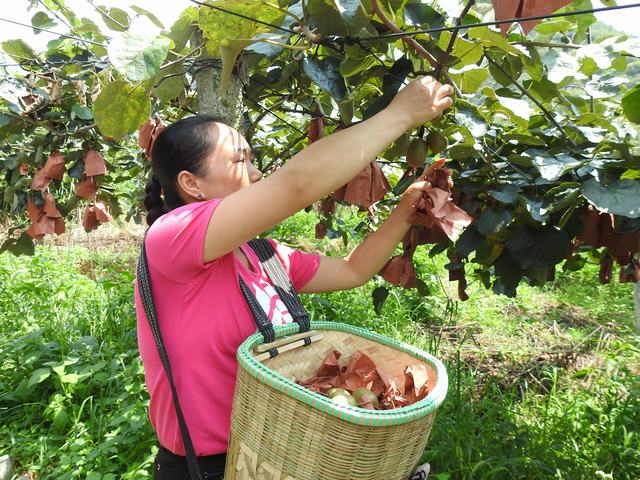 1566187664450002084.jpg 2.jpg