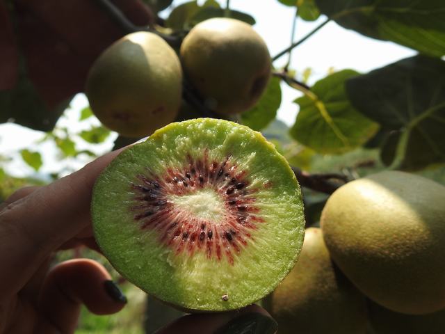 1566187716170015893.jpg 4.jpg