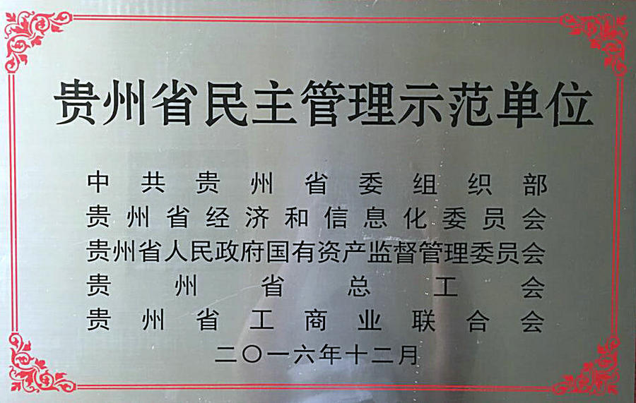 贵州省民主管理示范单位.jpg