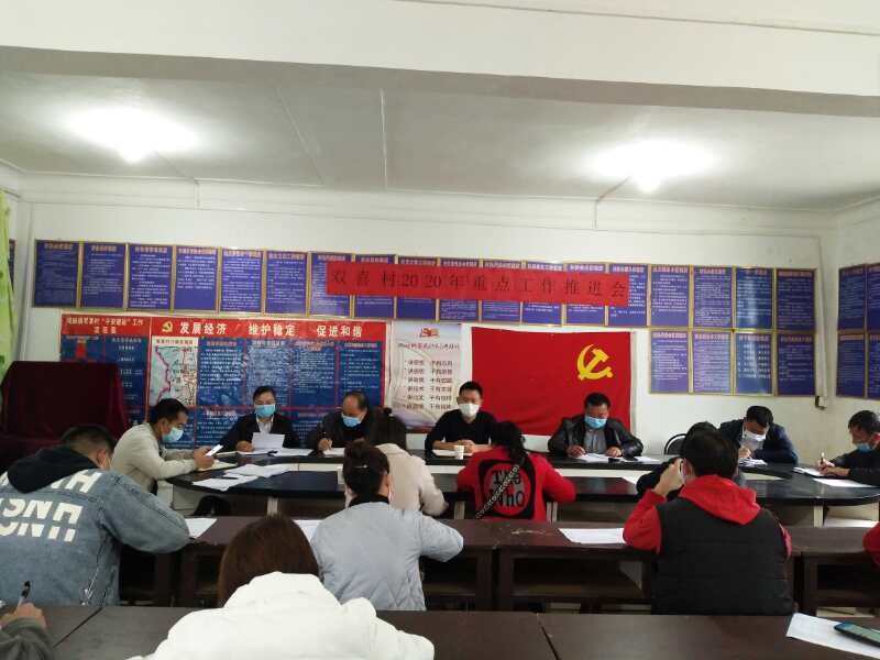 双喜村召开疫情防控工作会议.jpg