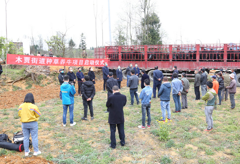 1584408983029050715.jpg HK4A3391.jpg