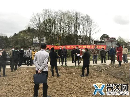 1584626102934004966.jpg 兴义1.jpg