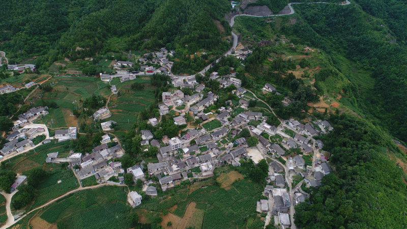 1594720190226065963.jpg DJI_0008.jpg