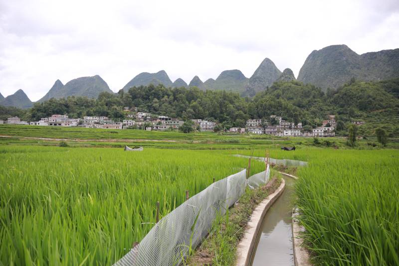 1597391318856025354.jpg WPS图片-修改尺寸(1).jpg