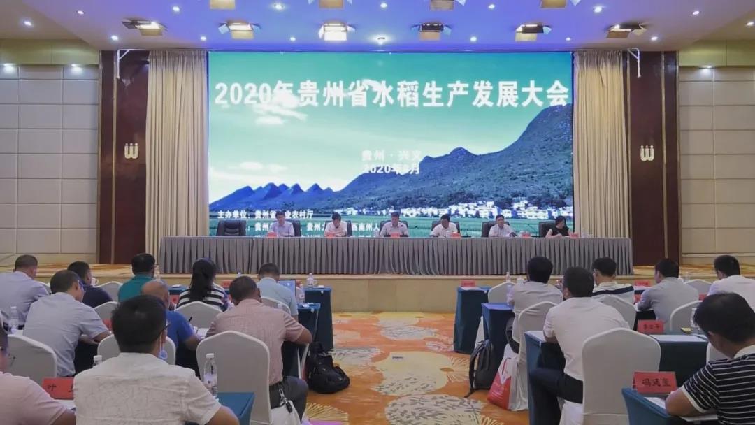 1598490215602048331.jpg 1598490215602048331.jpg