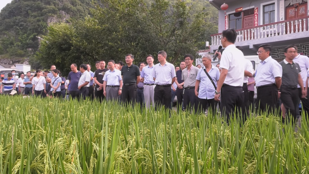 1598490464531049790.png 1598490464531049790.png