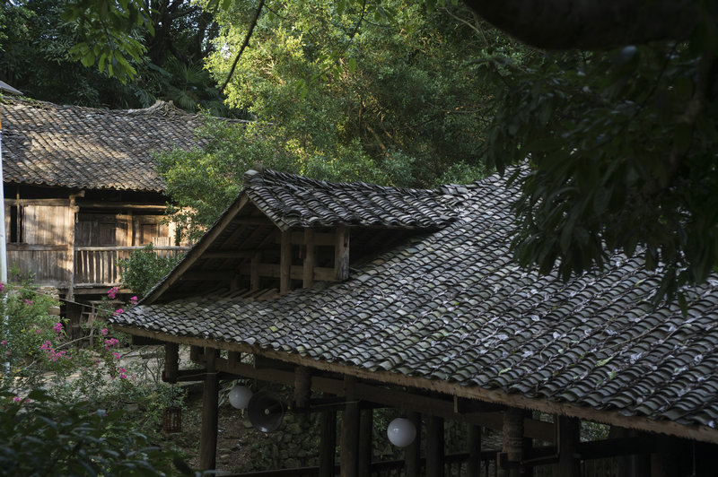 1599206375179000883.jpg _YXQ1852.jpg