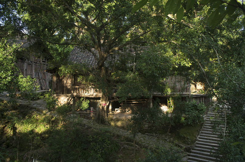 1599206414189064294.jpg _YXQ1855.jpg