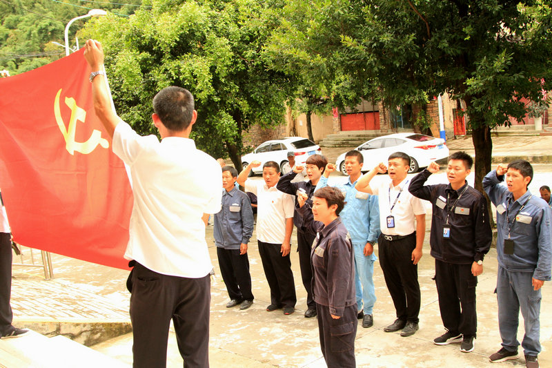 1600088469477020050.jpg 重温入党誓词.jpg