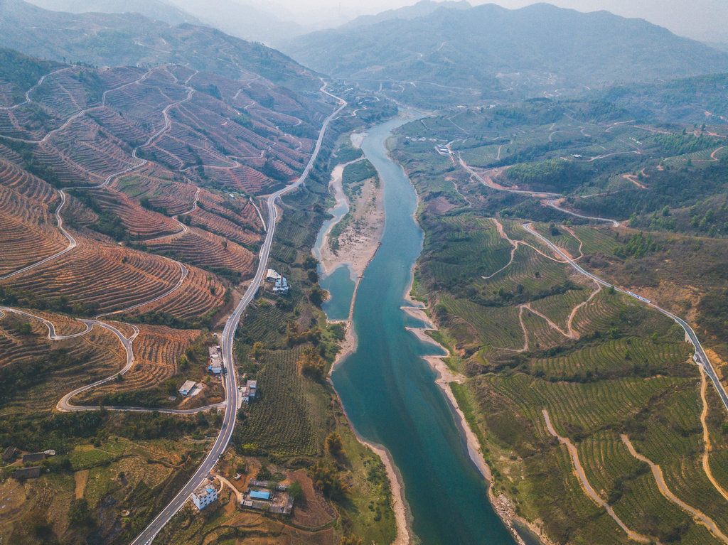 图2.国道354线沿线发展“一江三果”产业   龙胜海 摄_副本.jpg