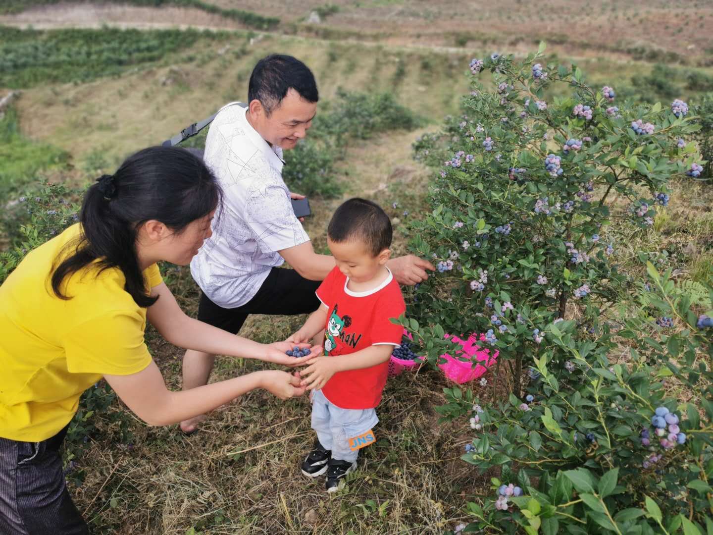 1621383358582054981.jpg 图片1.jpg