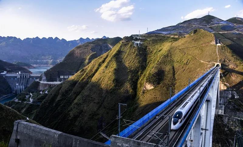 1625882969984095508.jpg 1625882969984095508.jpg