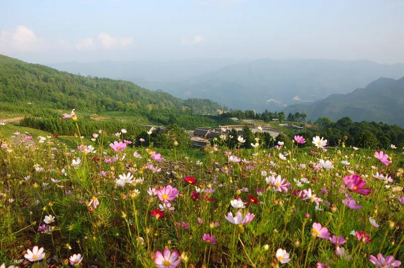 册亨秧箐万重山 唐涿权 摄.jpg