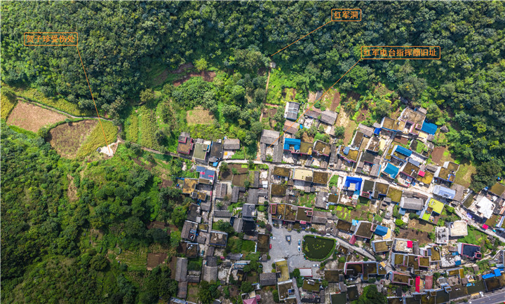 1626659606767072310.jpg 1626659606767072310.jpg