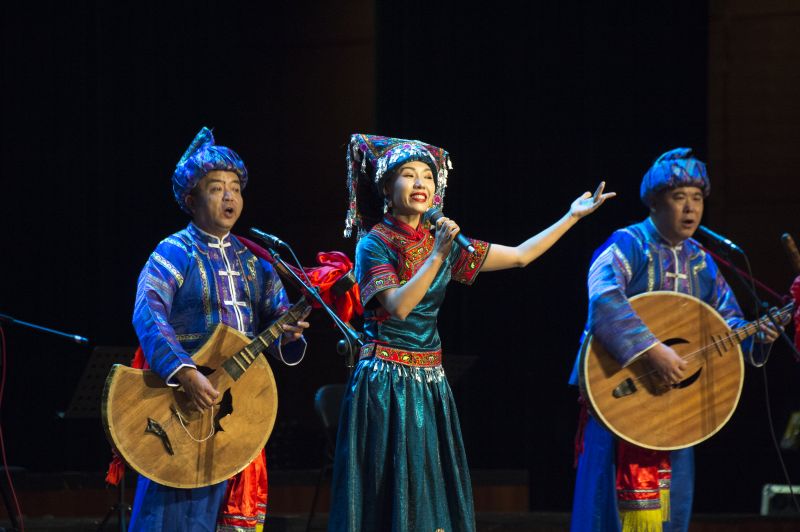 首届“富康杯”中国民族器乐展演综合展演音乐会 (8).jpg