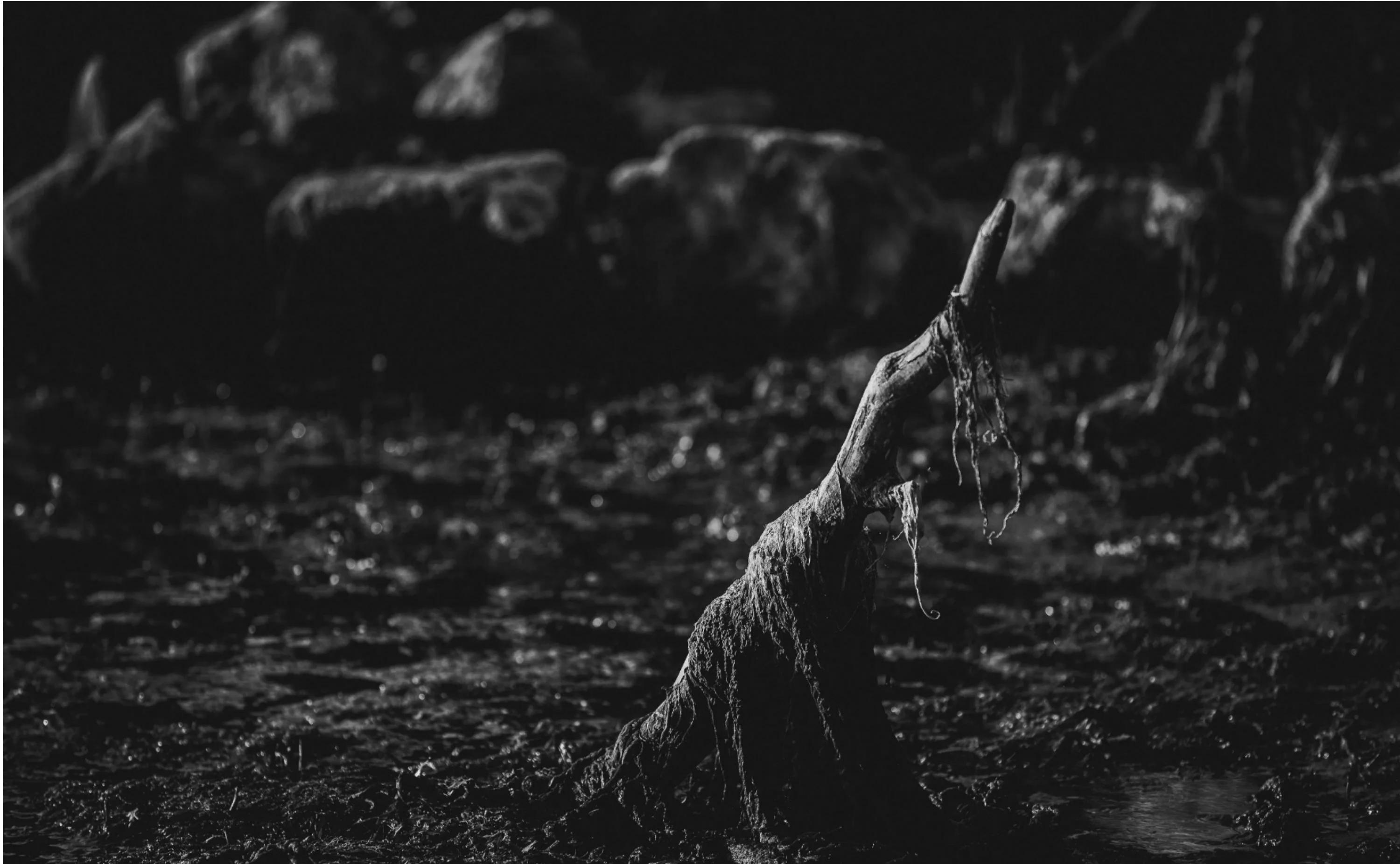 1627616442908050936.jpg 2.jpg