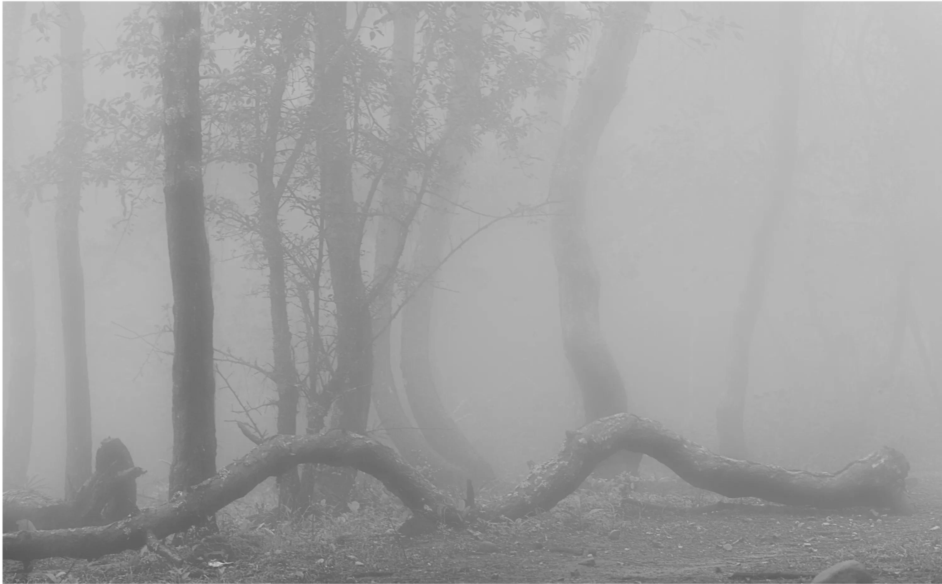 1627616471826091763.png 4.png