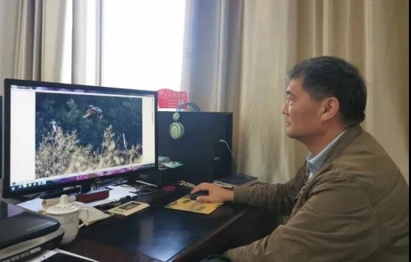 1636874156473067768.jpg 黔西南日报资深摄影记者邢贵龙自2014年以来,坚持拍摄州内珍稀鸟类,目前已整理归档迁徙黔西南越冬候鸟和州内本土鸟类近百种,拍摄照片5000余张,为黔西南开展鸟类保护提供了详实的资料照片。彭高琴 摄.jpg