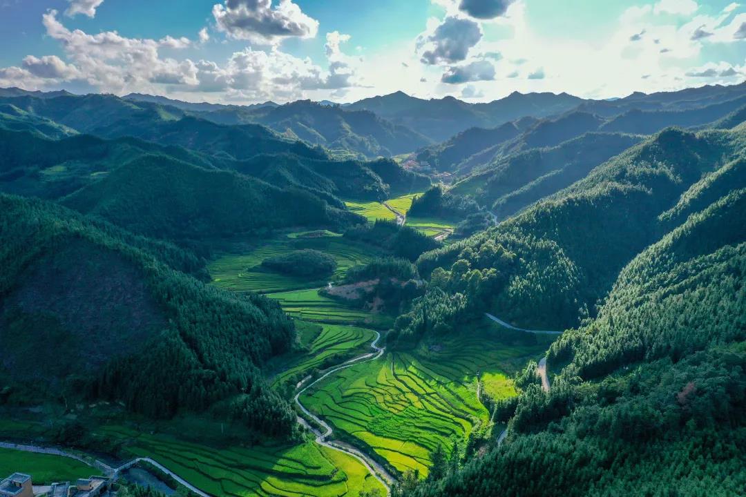 册亨高峰村郁郁葱葱 王国义 摄.jpg
