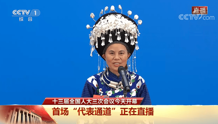 全国人大代表 石丽平.png