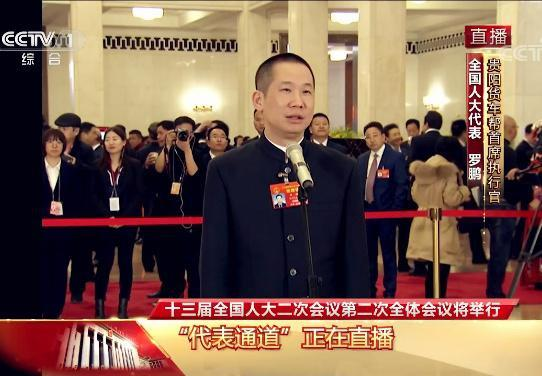 全国人大代表 罗鹏.png