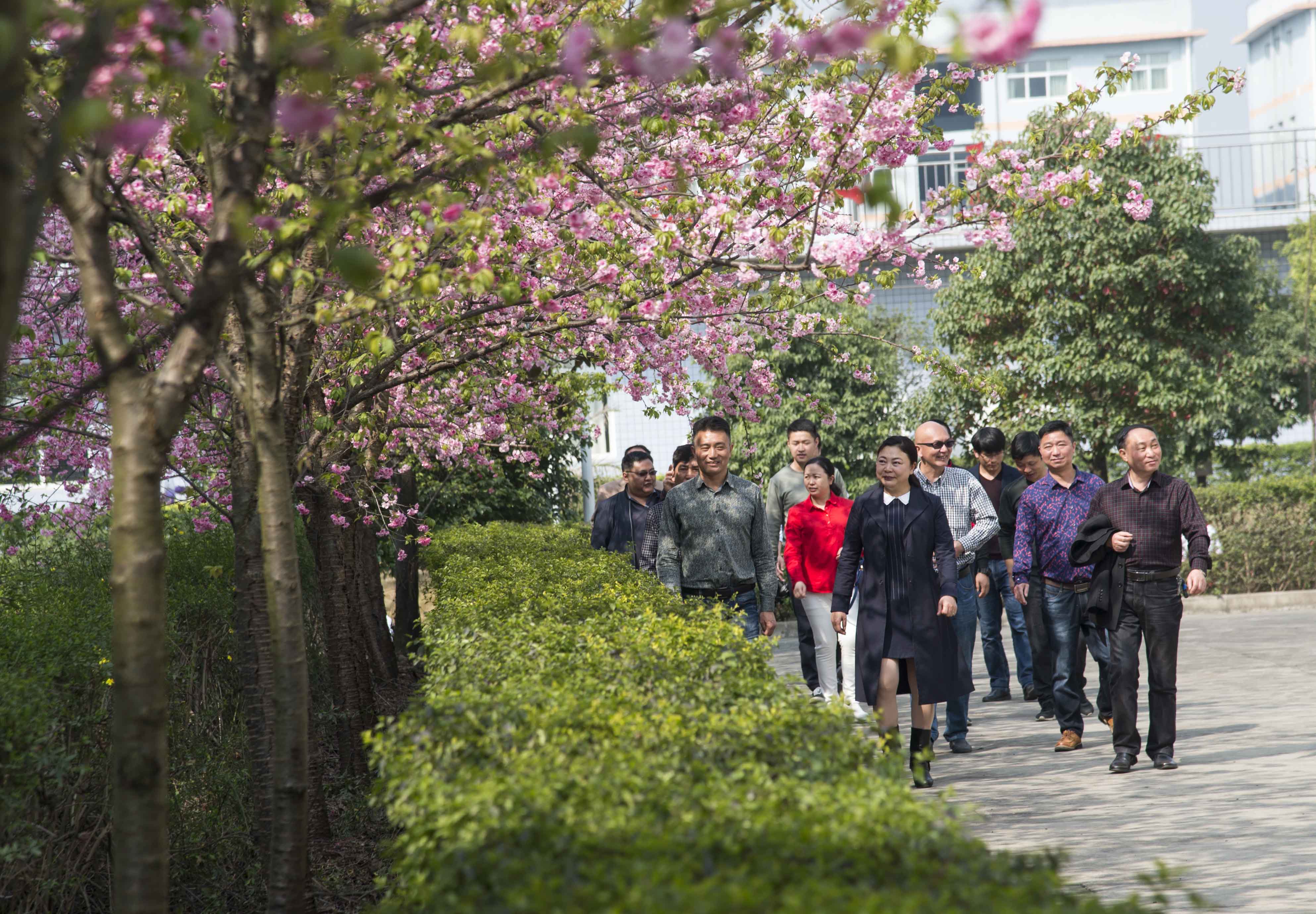 贵州省兴义中学宣传片