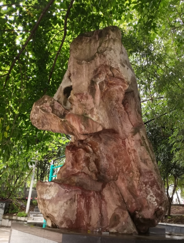 qxnrbp25_b@600_791.jpg