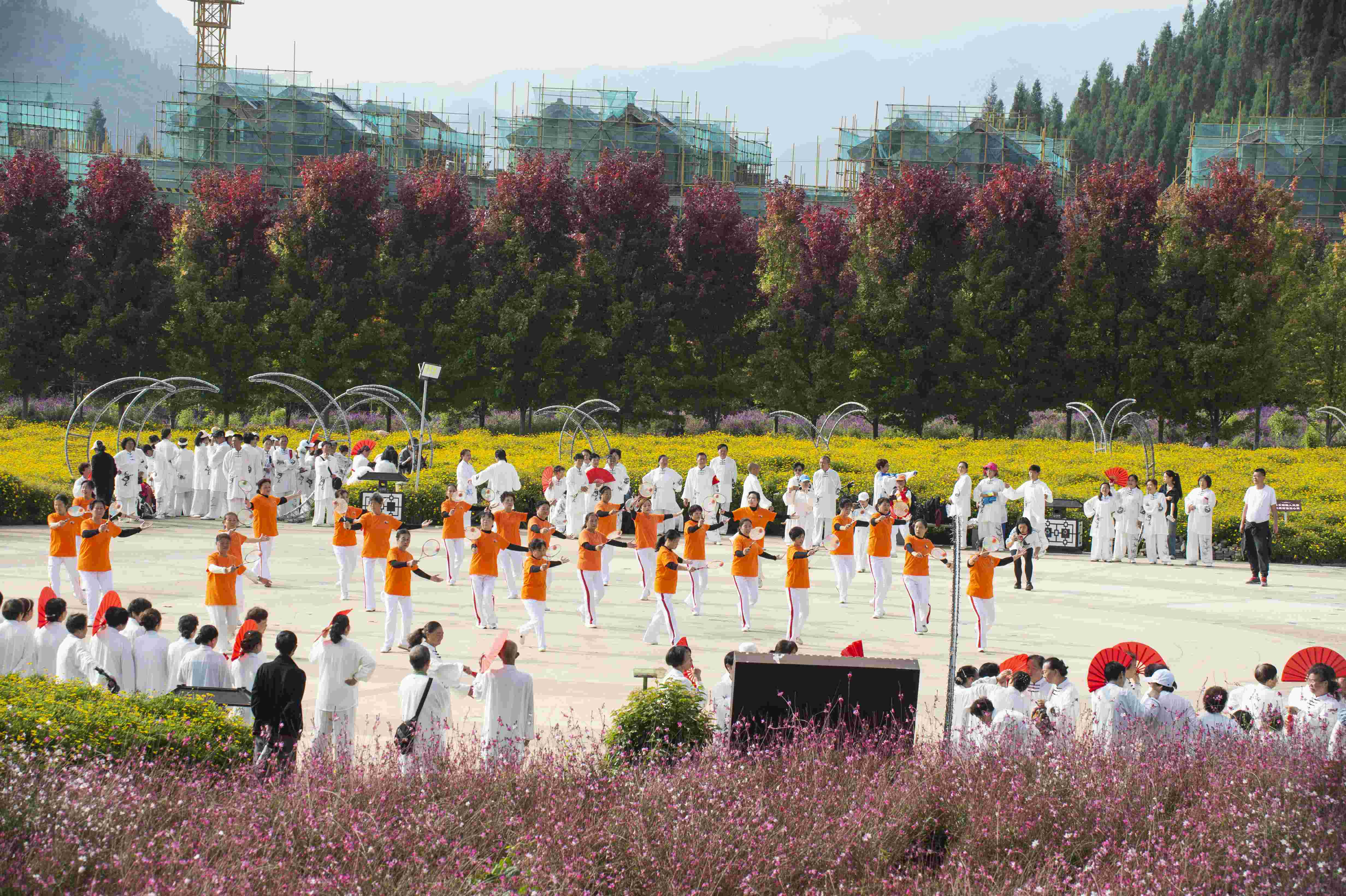 _YXQ1207.jpg