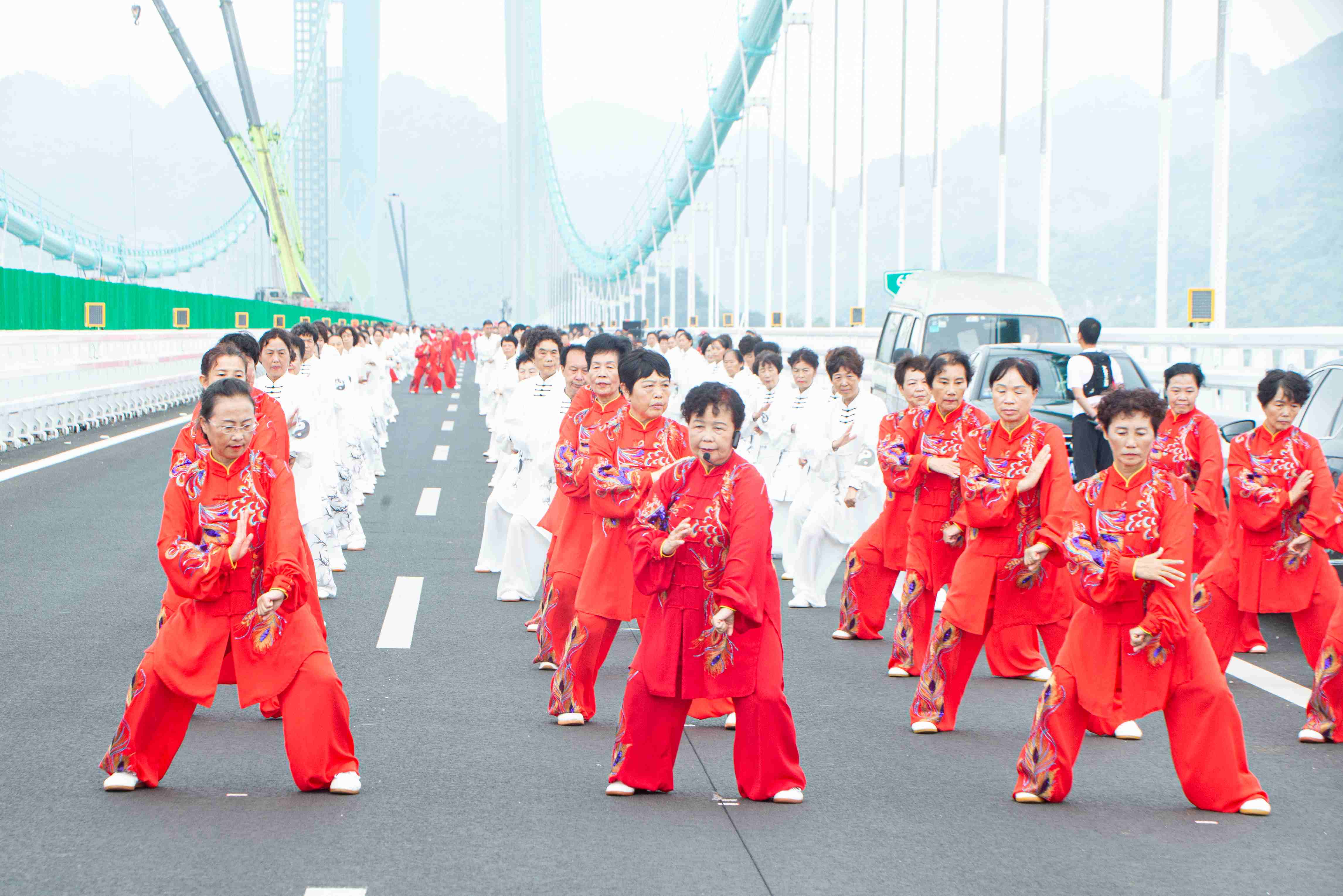 1763546351180033876.jpg 1763546351180033876.jpg