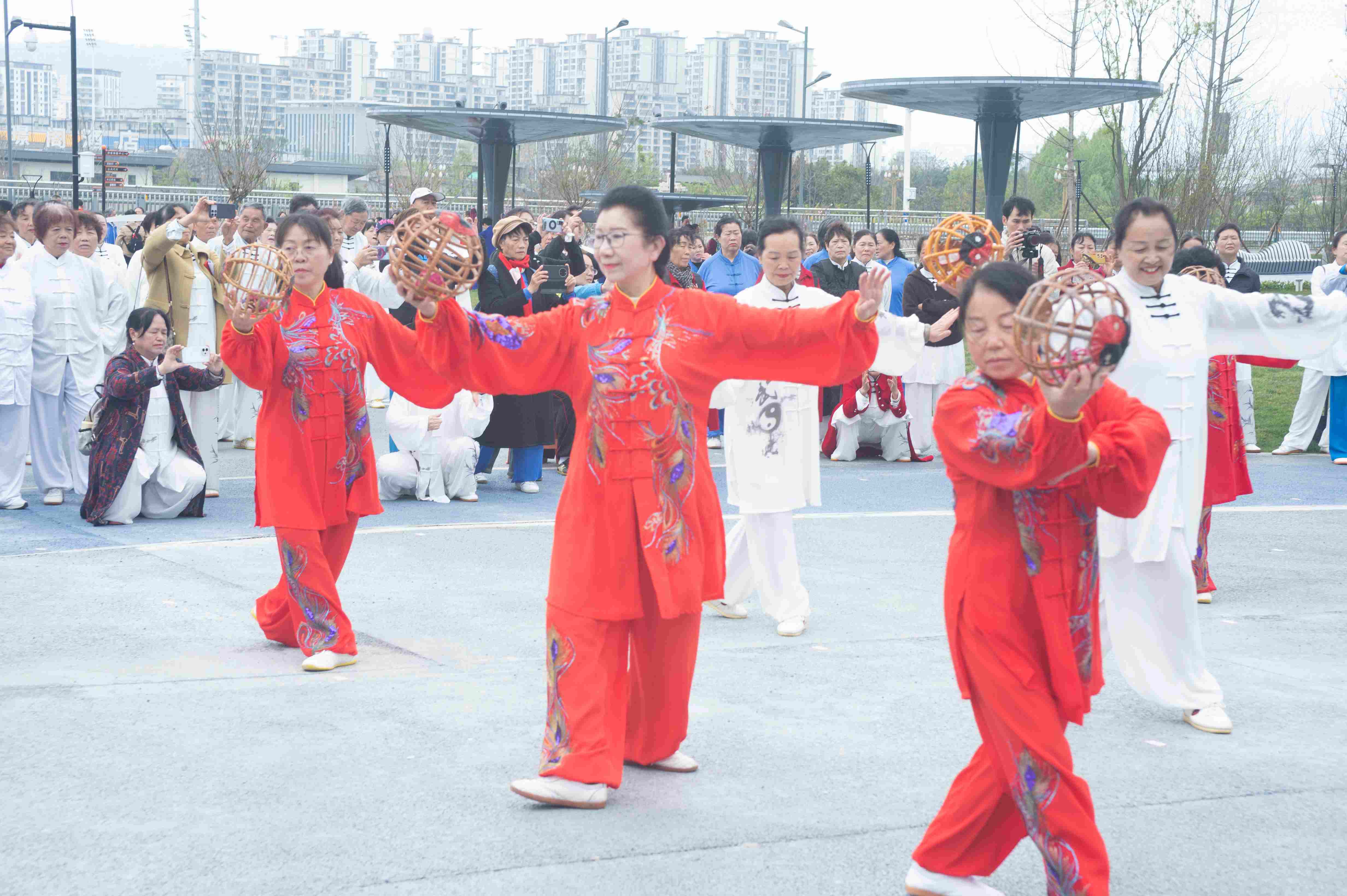 1774267619151054026.jpg 1774267619151054026.jpg