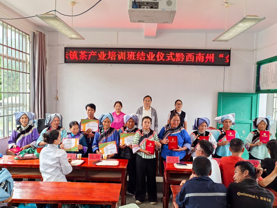 册亨茶叶培训（摄影：印象黔西南） (6).jpg
